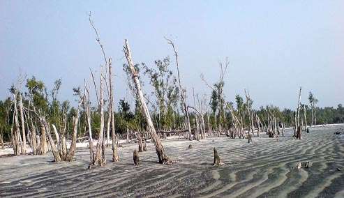 Katka-Sundarban