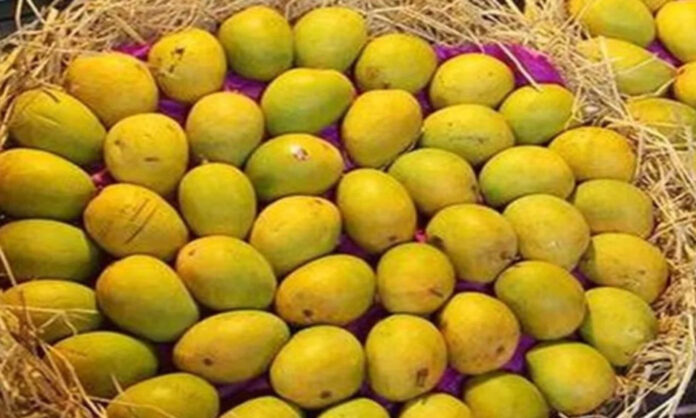 1748328081-fb56092c599c4bba8f5406305f2649c6