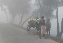 সারাদেশে রাতের তাপমাত্রা কমবে ২ ডিগ্রি