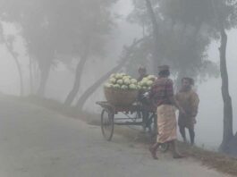 সারাদেশে রাতের তাপমাত্রা কমবে ২ ডিগ্রি