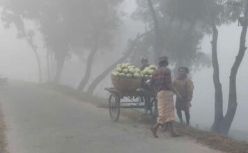 পঞ্চগড়ের তাপমাত্রা নামল ১২ ডিগ্রিতে