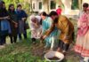 সবুজ ক্যাম্পাস গঠনে জেডএইচএসইউএসটির বৃক্ষরোপণ কর্মসূচির উদ্বোধন