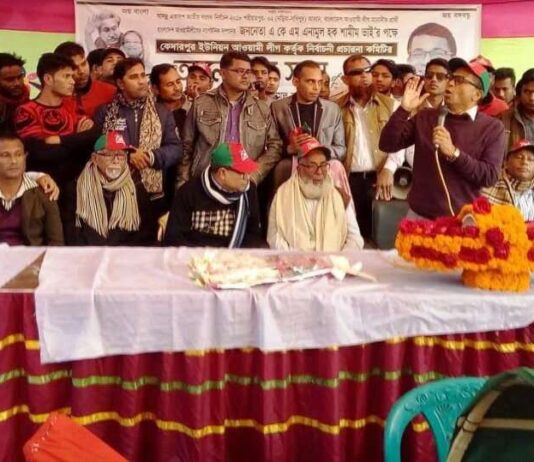 শরীয়তপুরের নড়িয়ার কেদারপুরে বক্তব্য রাখছেন, এনামুল হক শামীম।