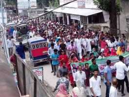 বাহাউদ্দিন নাছিম কৃষিতে আজীবন সম্মাননা পাওয়ায় প্রধানমন্ত্রীকে শুভেচ্ছা জানিয়ে কালকিনিতে আনন্দ মিছিল